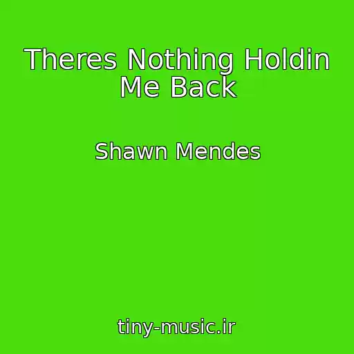 کاور آهنگ Theres Nothing Holdin Me Back از Shawn Mendes