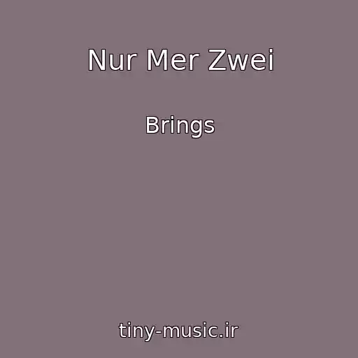 کاور آهنگ Nur Mer Zwei از Brings