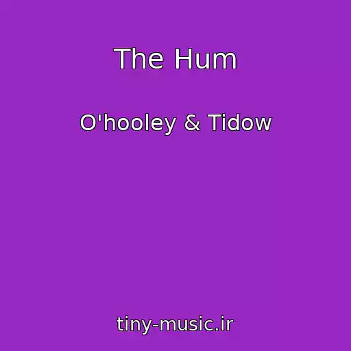 کاور آهنگ The Hum از O'hooley & Tidow