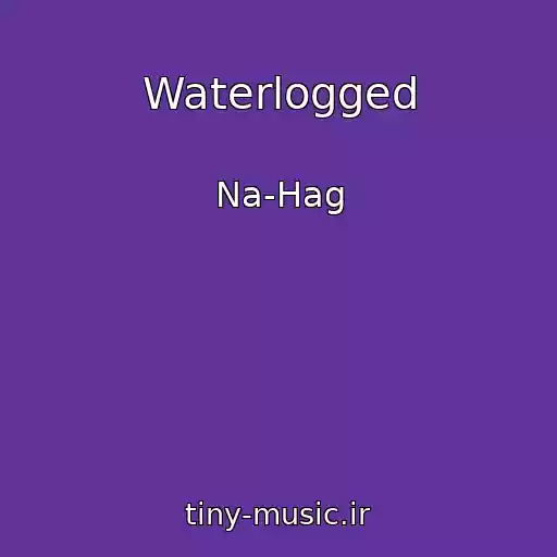 کاور آهنگ Waterlogged از Na-Hag