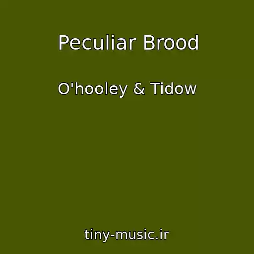 کاور آهنگ Peculiar Brood از O'hooley & Tidow