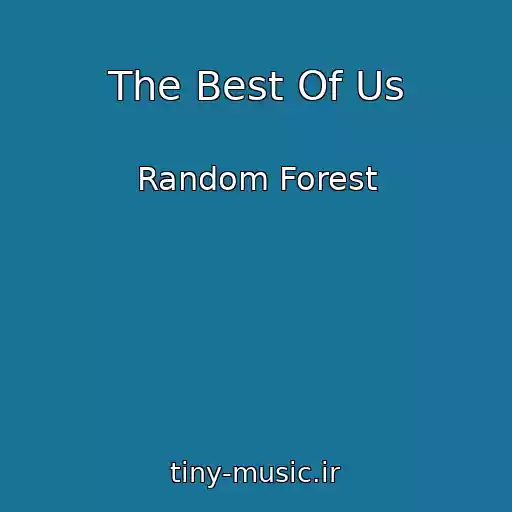 کاور آهنگ The Best Of Us از Random Forest