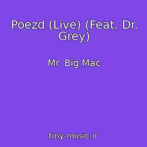 کاور آهنگ Poezd (Live) (Feat. Dr. Grey) از Mr. Big Mac