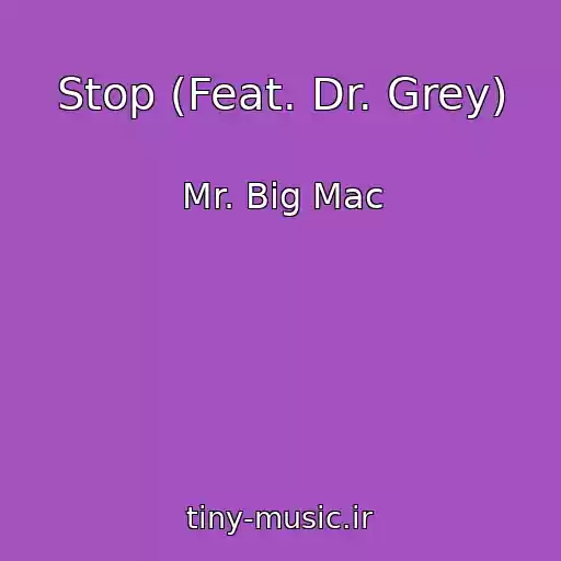 کاور آهنگ Stop (Feat. Dr. Grey) از Mr. Big Mac