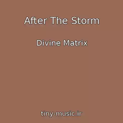 کاور آهنگ After The Storm از Divine Matrix