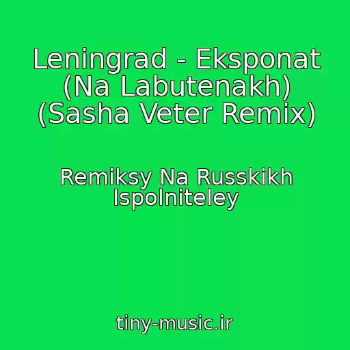 کاور آهنگ Leningrad - Eksponat (Na Labutenakh) (Sasha Veter Remix) از Remiksy Na Russkikh Ispolniteley