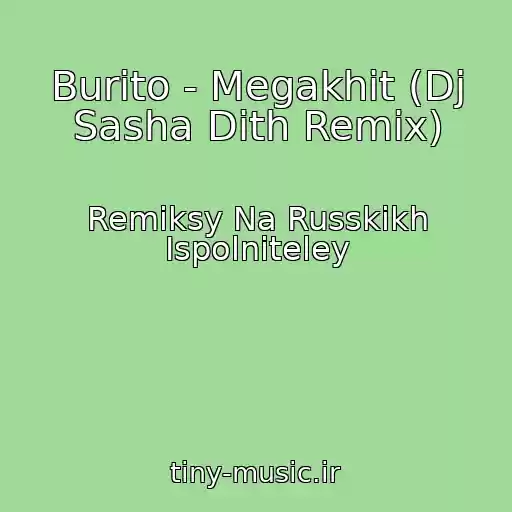 کاور آهنگ Burito - Megakhit (Dj Sasha Dith Remix) از Remiksy Na Russkikh Ispolniteley