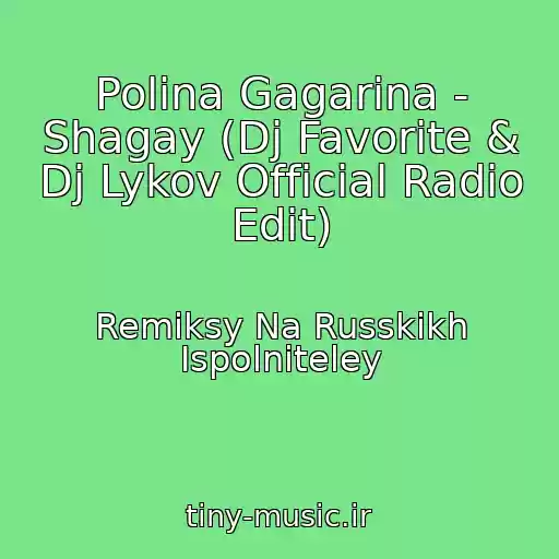 کاور آهنگ Polina Gagarina - Shagay (Dj Favorite & Dj Lykov Official Radio Edit) از Remiksy Na Russkikh Ispolniteley