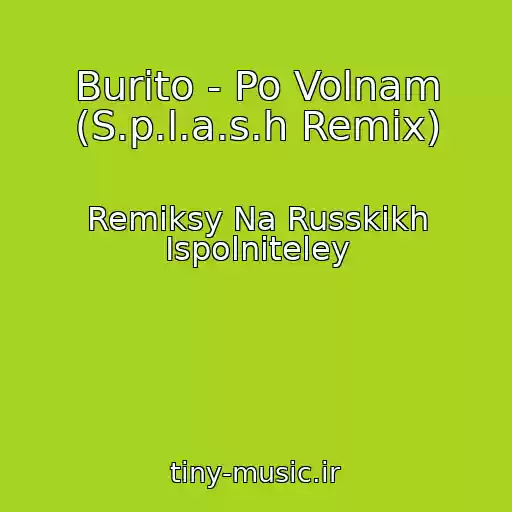 کاور آهنگ Burito - Po Volnam (S.p.l.a.s.h Remix) از Remiksy Na Russkikh Ispolniteley
