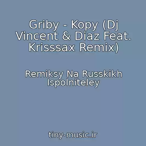 کاور آهنگ Griby - Kopy (Dj Vincent & Diaz Feat. Krisssax Remix) از Remiksy Na Russkikh Ispolniteley