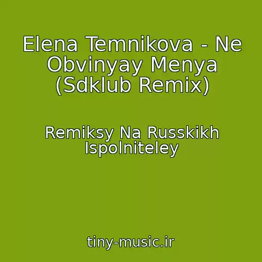 کاور آهنگ Elena Temnikova - Ne Obvinyay Menya (Sdklub Remix) از Remiksy Na Russkikh Ispolniteley