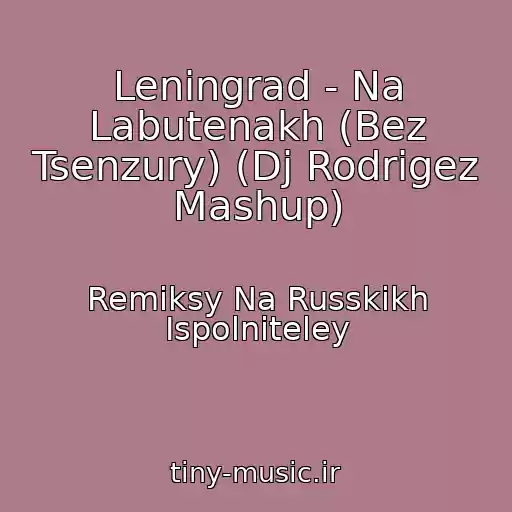 کاور آهنگ Leningrad - Na Labutenakh (Bez Tsenzury) (Dj Rodrigez Mashup) از Remiksy Na Russkikh Ispolniteley