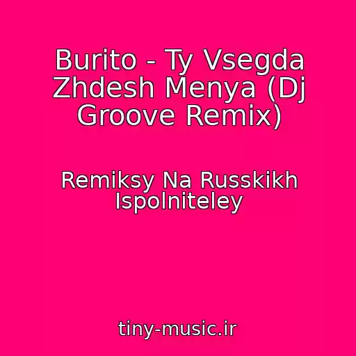 کاور آهنگ Burito - Ty Vsegda Zhdesh Menya (Dj Groove Remix) از Remiksy Na Russkikh Ispolniteley