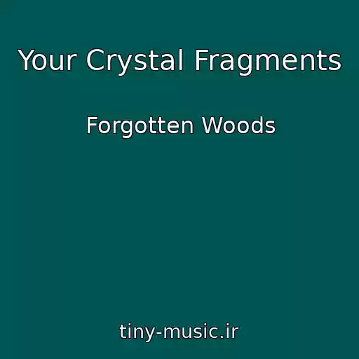 کاور آهنگ Your Crystal Fragments از Forgotten Woods