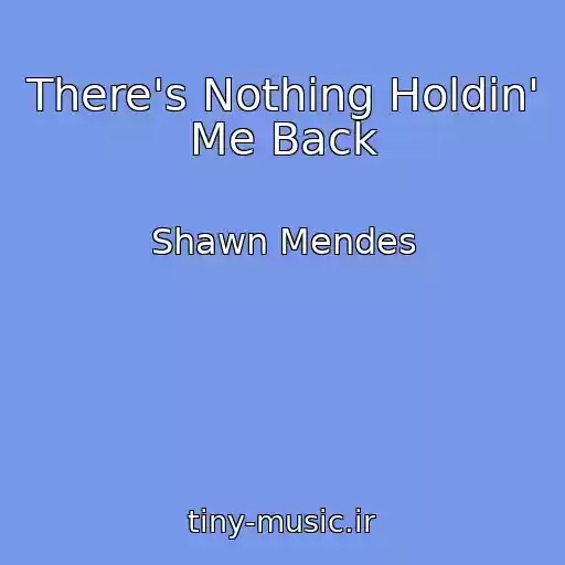 کاور آهنگ There's Nothing Holdin' Me Back از Shawn Mendes