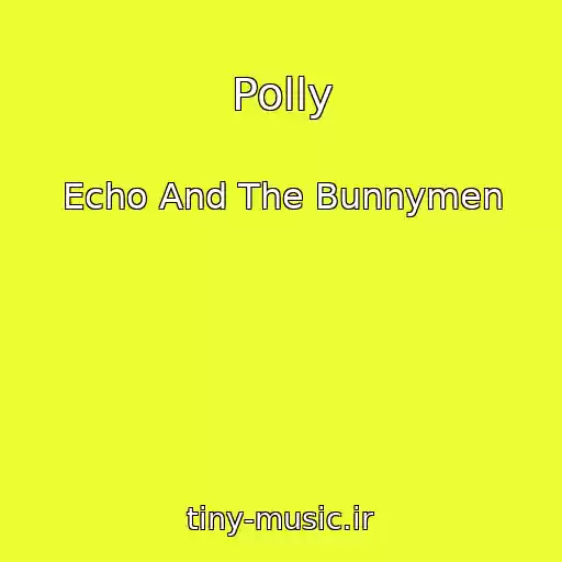 کاور آهنگ Polly از Echo And The Bunnymen
