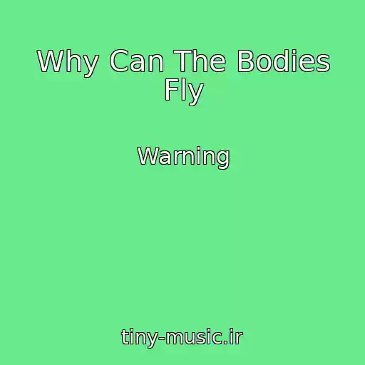 کاور آهنگ Why Can The Bodies Fly از Warning