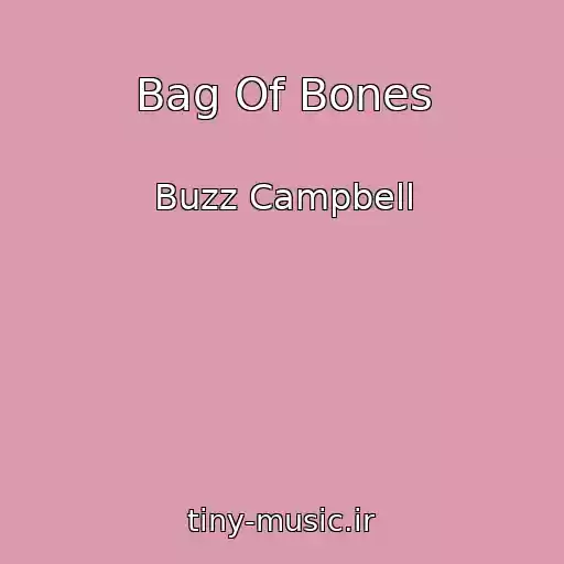 کاور آهنگ Bag Of Bones از Buzz Campbell
