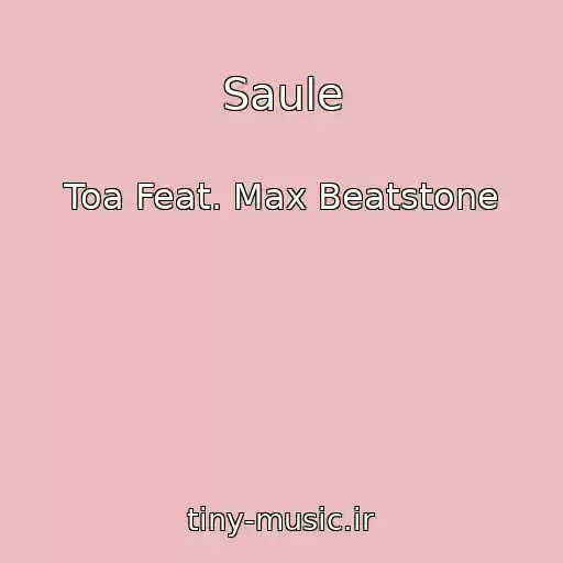 کاور آهنگ Saule از Toa Feat. Max Beatstone