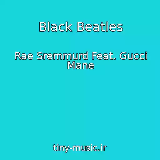 کاور آهنگ Black Beatles از Rae Sremmurd Feat. Gucci Mane