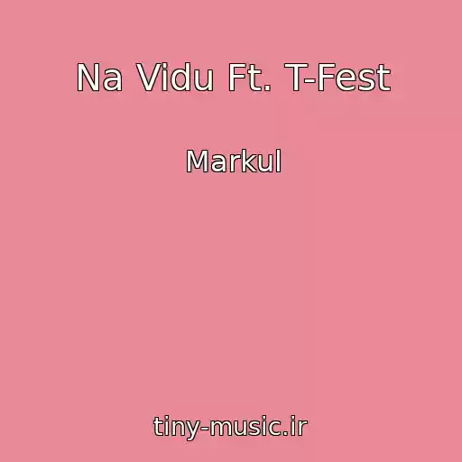 کاور آهنگ Na Vidu Ft. T-Fest از Markul