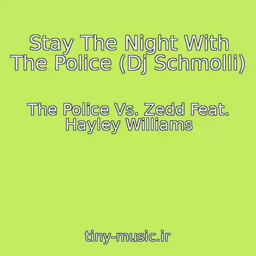 کاور آهنگ Stay The Night With The Police (Dj Schmolli) از The Police Vs. Zedd Feat. Hayley Williams