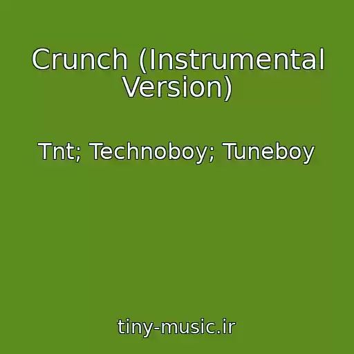 کاور آهنگ Crunch (Instrumental Version) از Tnt; Technoboy; Tuneboy
