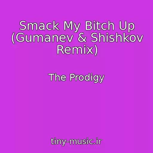 کاور آهنگ Smack My Bitch Up (Gumanev & Shishkov Remix) از The Prodigy