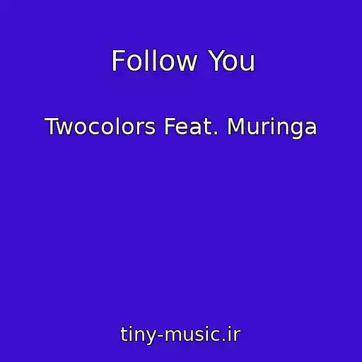 کاور آهنگ Follow You از Twocolors Feat. Muringa