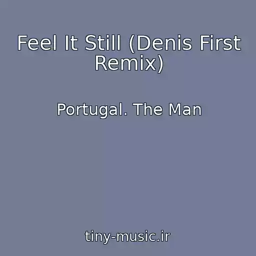 کاور آهنگ Feel It Still (Denis First Remix) از Portugal. The Man