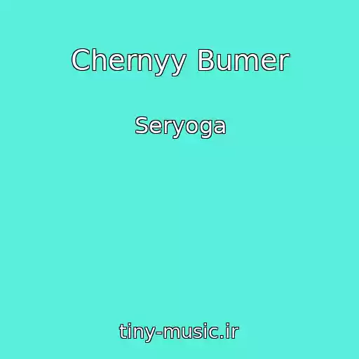 کاور آهنگ Chernyy Bumer از Seryoga