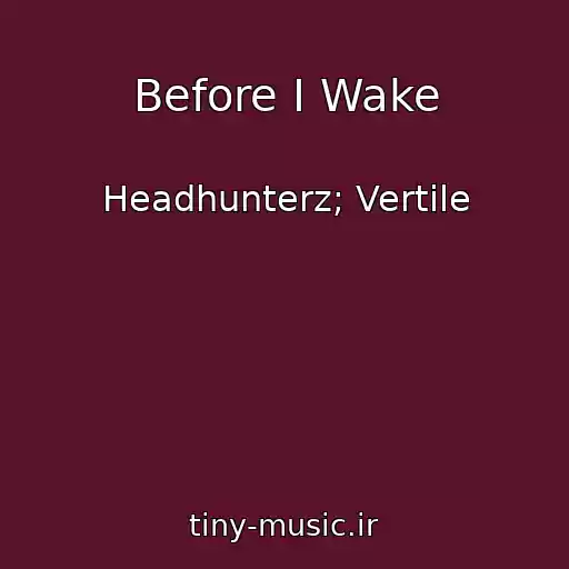 کاور آهنگ Before I Wake از Headhunterz; Vertile