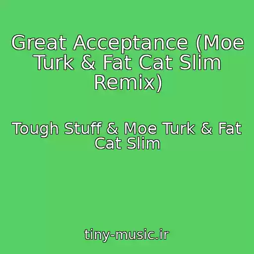 کاور آهنگ Great Acceptance (Moe Turk & Fat Cat Slim Remix) از Tough Stuff & Moe Turk & Fat Cat Slim