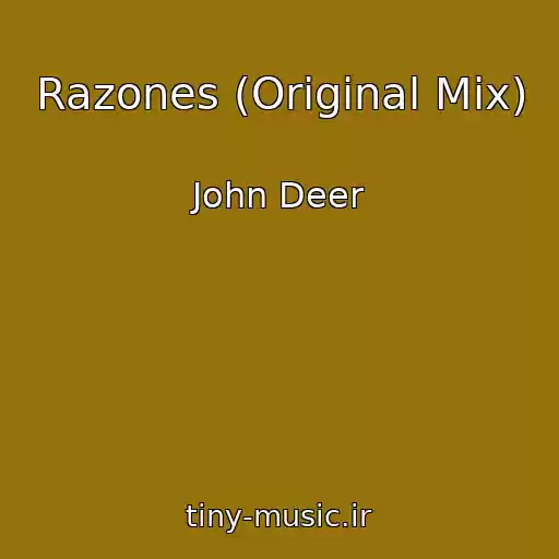 کاور آهنگ Razones (Original Mix) از John Deer