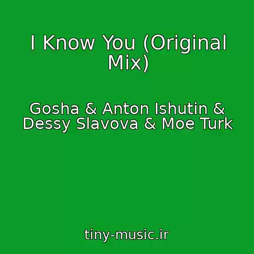 کاور آهنگ I Know You (Original Mix) از Gosha & Anton Ishutin & Dessy Slavova & Moe Turk