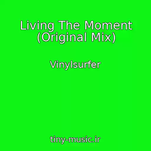 کاور آهنگ Living The Moment (Original Mix) از Vinylsurfer