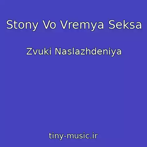 کاور آهنگ Stony Vo Vremya Seksa از Zvuki Naslazhdeniya