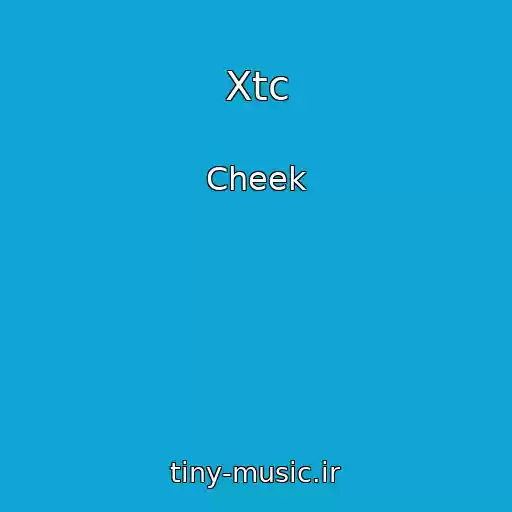 کاور آهنگ Xtc از Cheek