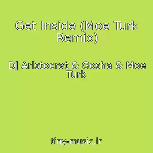 کاور آهنگ Get Inside (Moe Turk Remix) از Dj Aristocrat & Gosha & Moe Turk