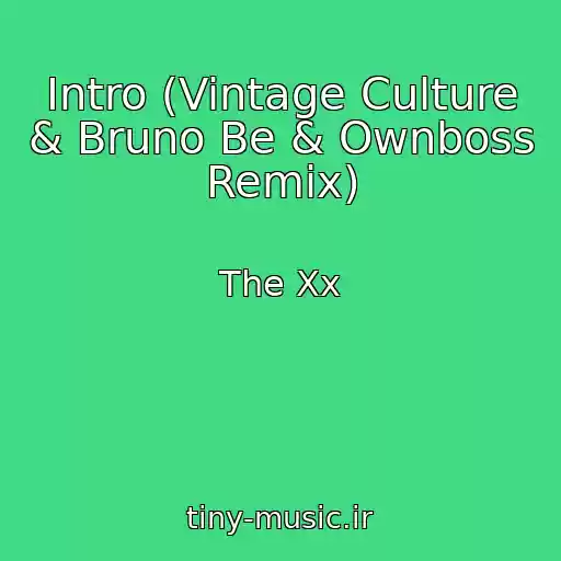 کاور آهنگ Intro (Vintage Culture & Bruno Be & Ownboss Remix) از The Xx