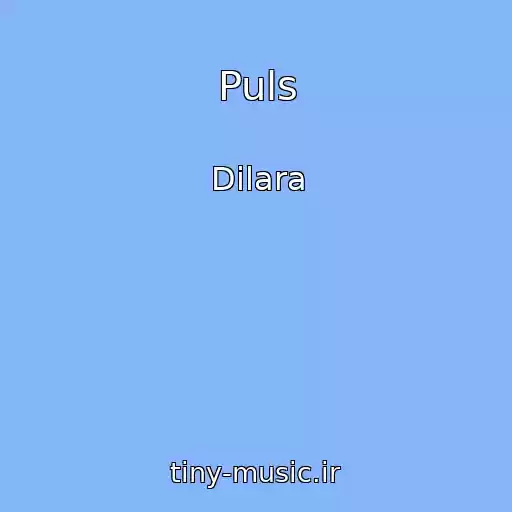 کاور آهنگ Puls از Dilara