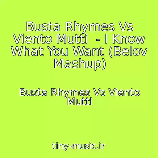 کاور آهنگ Busta Rhymes Vs Viento Mutti  - I Know What You Want (Belov Mashup) از Busta Rhymes Vs Viento Mutti