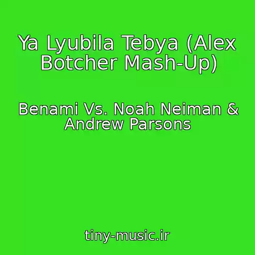 کاور آهنگ Ya Lyubila Tebya (Alex Botcher Mash-Up) از Benami Vs. Noah Neiman & Andrew Parsons
