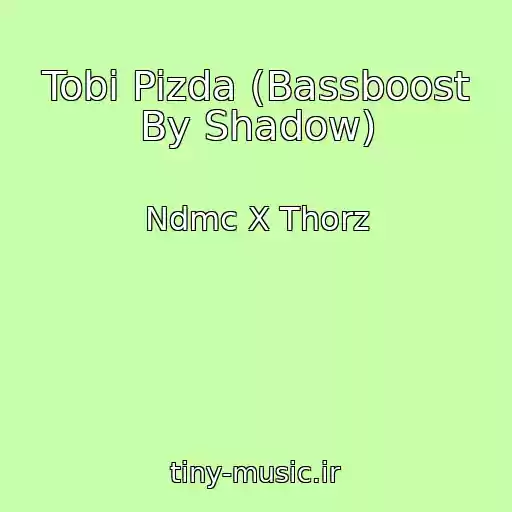کاور آهنگ Tobi Pizda (Bassboost By Shadow) از Ndmc X Thorz