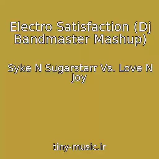 کاور آهنگ Electro Satisfaction (Dj Bandmaster Mashup) از Syke N Sugarstarr Vs. Love N Joy