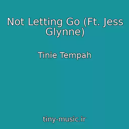 کاور آهنگ Not Letting Go (Ft. Jess Glynne) از Tinie Tempah