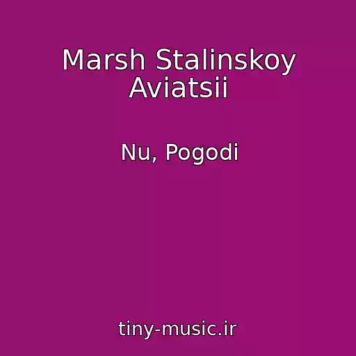 کاور آهنگ Marsh Stalinskoy Aviatsii از Nu, Pogodi