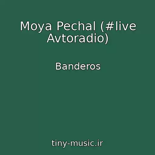 کاور آهنگ Moya Pechal (#live Avtoradio) از Banderos