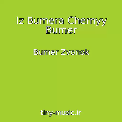 کاور آهنگ Iz Bumera Chernyy Bumer از Bumer Zvonok