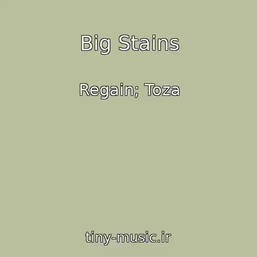 کاور آهنگ Big Stains از Regain; Toza